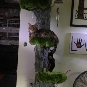 Meet your Posher, April